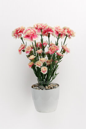 Yapay Karanfil Çiçeği Tanzimi Saksılı 37 cm Pembe - Krem - 3
