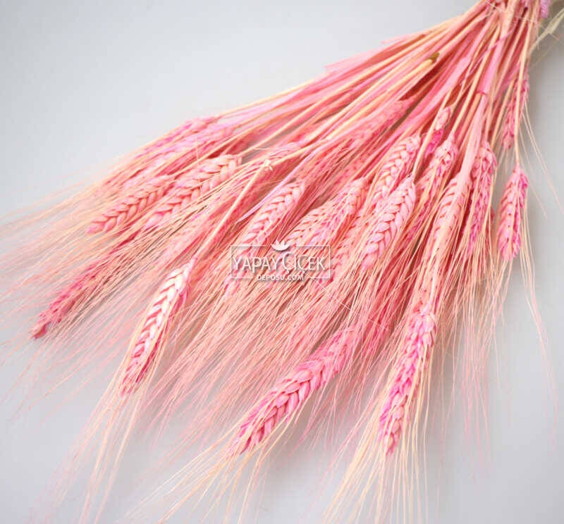 Kuru Başak Demeti Açık Pembe - 2