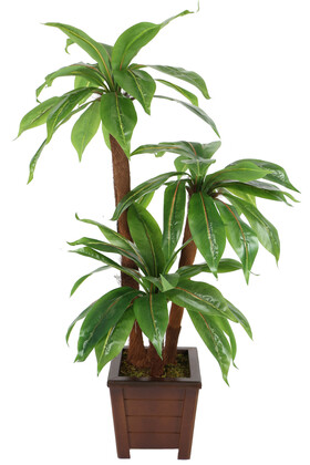 Bodur Yapay Ağaç Cordyline 105 cm Model 2 - 2