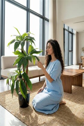 Bodur Yapay Ağaç Cordyline 105 cm Model 2 - 2