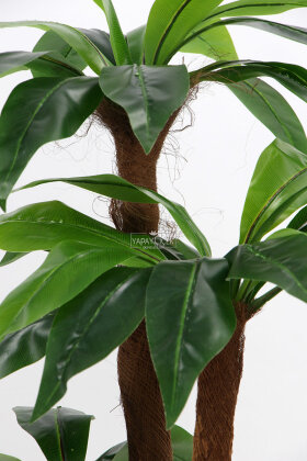 Bodur Yapay Ağaç Cordyline 105 cm Model 2 - 5