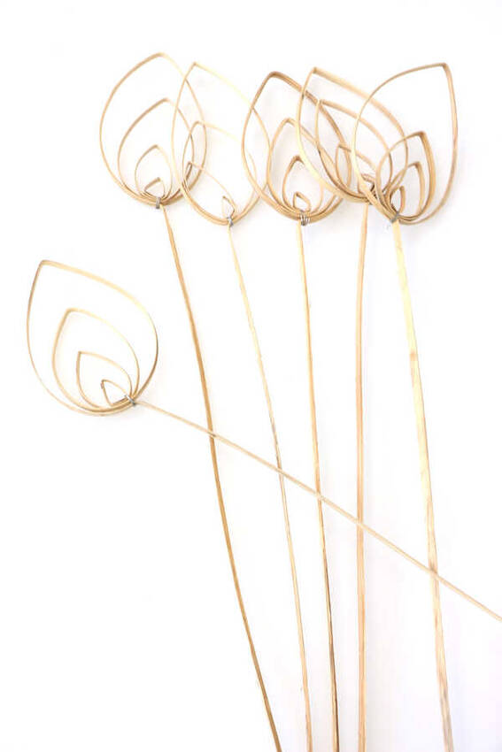6lı Cane Pradeep 60 cm