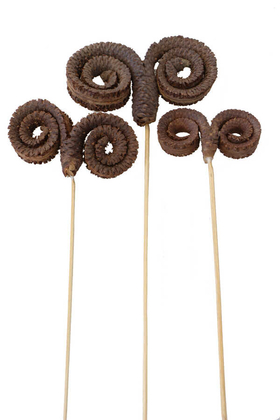 Kuru Çiçek 3 Boy Palm Ring 45 cm - Yapay Çiçek Deposu