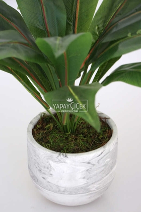 Beton Saksıda Uzun Yapraklı Yapay Bitki 42 cm Model-4 - 3