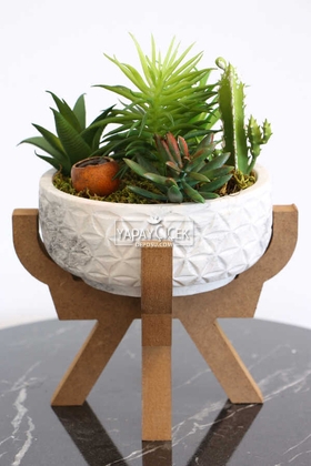 Ahşap Ayaklı Beton Saksida Yapay Succulent Bahçesi - Yapay Çiçek Deposu