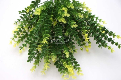 7 Dal Plastik Okaliptus Demeti 35 cm Yeşil-Sarı - 2