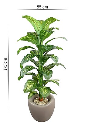 Kum Kahve Dinazor Yumurtası Saksıda Yapay Ağaç 34 Yapraklı Amoena Difenbahya Ağacı 175 cm Yeşil-Sarı - 5