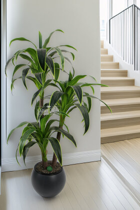 Küre Saksıda Yapay Ağaç 3 gövdeli Cordyline 180 cm Yeşil Sarı - Yapay Çiçek Deposu