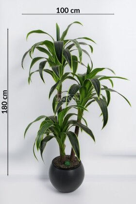 Küre Saksıda Yapay Ağaç 3 gövdeli Cordyline 180 cm Yeşil Sarı - 4