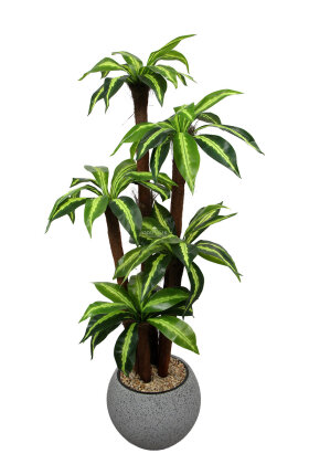 Küre Saksıda Yapay Ağaç Albion Cordyline 155 cm - 2