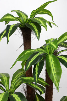 Küre Saksıda Yapay Ağaç Albion Cordyline 155 cm - 3