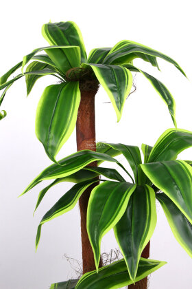 Küre Saksıda Yapay Ağaç Kyoto Çizgili Cordyline 155 cm - 3