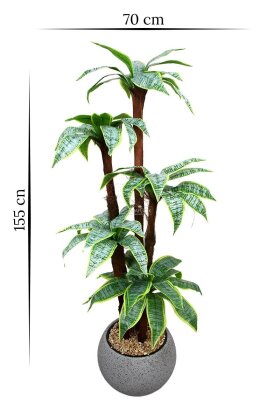Küre Saksıda Yapay Ağaç Monaco Cordyline 155 cm - 4