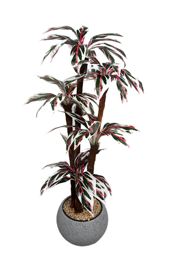 Küre Saksıda Yapay Ağaç Pembe Damarlı Cordyline 150 cm - 2