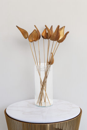 İthal Kuru çiçek 7li Pradeep On Stem 47 cm - Yapay Çiçek Deposu