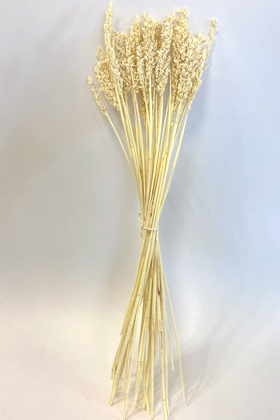 Kuru Çiçek Sorghum Otu 55 cm Krem - 4