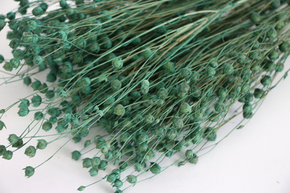 Kuru Çiçek Luna Otu Haki Yeşili - 4