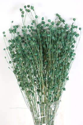 Kuru Çiçek Luna Otu Haki Yeşili - 2