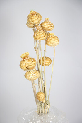 Kuru Çiçek Padişah Gülü 40 cm - 1