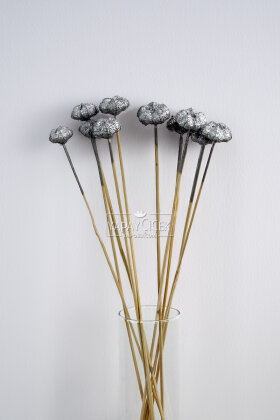 10lu Paras Ped Bleach on Stem 45 cm Gümüş - 2