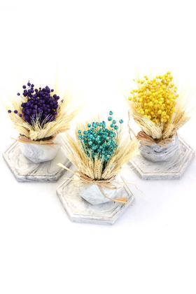 Tepsili Beton Saksıda Kuru Luna Tanzimi 3lü (Set-2) - 1