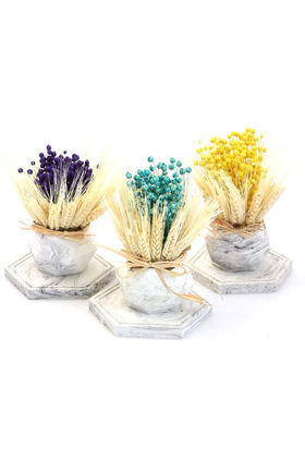 Tepsili Beton Saksıda Kuru Luna Tanzimi 3lü (Set-2) - 2