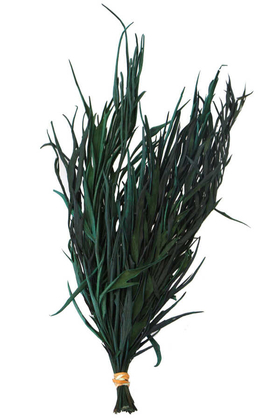 Dekoratif Kurutulmuş Yeşil Mini Bitki 20 cm Gavellia Leaves - Yapay Çiçek Deposu
