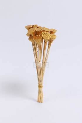  Kurutulmuş Çiçek 20li Mini Lotus 28 cm Gold - 2
