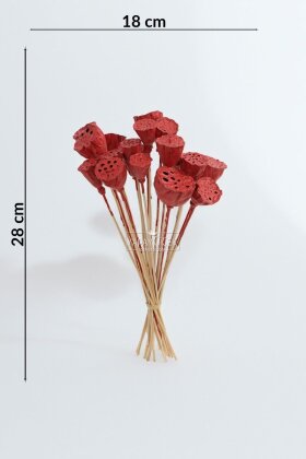  Kurutulmuş Çiçek 20li Mini Lotus 28 cm Kırmızı - 3