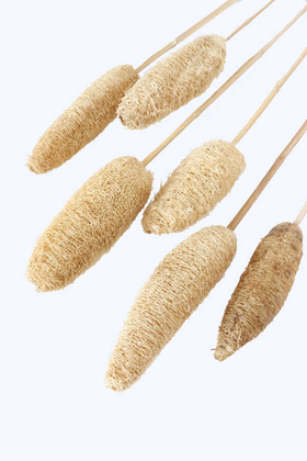 Tropikal Tropic Luffa Kuru Çiçek Bambu Saplı 6 Adet - 2