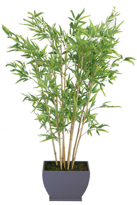 Lüx Saksıda Yapay Bambu Ağacı 160 cm 10 Gövdeli (Islak Kırçıllı Yaprak) - 1