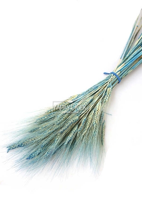 Kuru Başak Demeti Açık Mavi - Yapay Çiçek Deposu