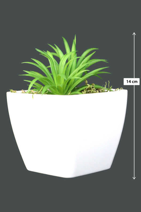 Melamin Saksıda Yapay Succulent Sukulent Peperomia ferreyrae 14cm - Yapay Çiçek Deposu