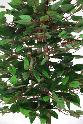 Beyaz Gold Metal Saksıda Yapay Benjamin Ağacı (Ficus benjamina) 150 cm Yeşil - 2