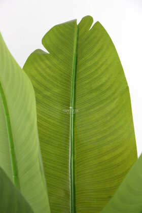 Fiber Saksıda Yapay 15 Yapraklı Starliçe Ağacı 180 cm - 5