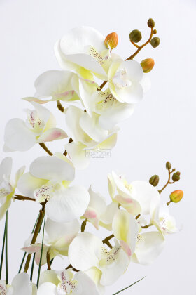 Metal Beyaz-Gold Saksıda Yapay Orkide Tanzimi 75 cm Javanica - 3