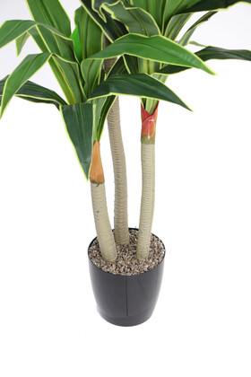 Saksıda Yapay 3 Gövdeli Massengena Ağacı 170 cm Yeşil-Sarı - 5