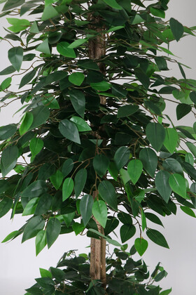 Gri Metal Saksıda Yapay Benjamin Ağacı (Ficus benjamina) 180 cm Yeşil - 2