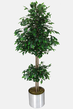 Gri Metal Saksıda Yapay Benjamin Ağacı (Ficus benjamina) 180 cm Yeşil - 1