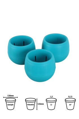 Mini Kaktüs Sukulent Saksısı 3lü Set Koyu Turkuaz Elvan Model 12.5 Cm 1.3 Litre - 2