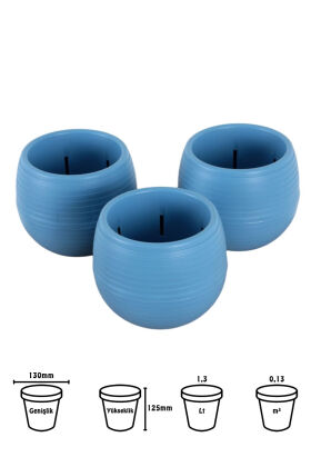 Mini Kaktüs Sukulent Saksısı 3lü Set Mavi Elvan Model 12.5 Cm 1.3 Litre - 2