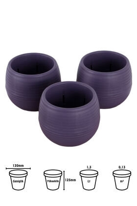 Mini Kaktüs Sukulent Saksısı 3lü Set Koyu Mor Elvan Model 12.5 Cm 1.3 Litre - 2