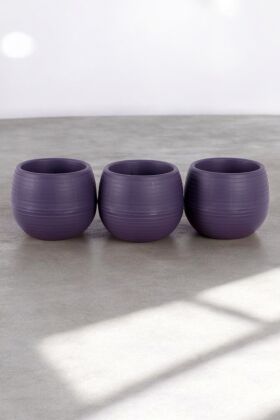 Mini Kaktüs Sukulent Saksısı 3lü Set Koyu Mor Elvan Model 12.5 Cm 1.3 Litre - 4