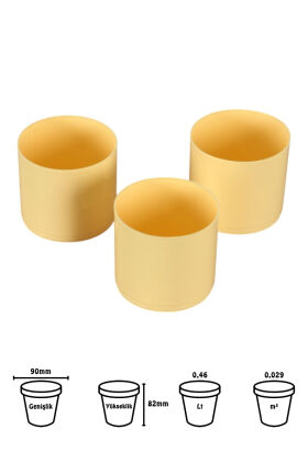 Mini Kaktüs Sukulent Saksısı 3lü Set Pastel Sarı Trend Model 8 Cm - 2