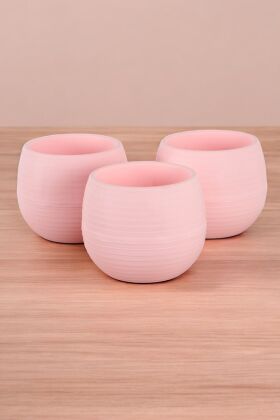 Mini Kaktüs Sukulent Saksısı 3lü Set Pembe Elvan Model 12.5 Cm 1.3 Litre - 3