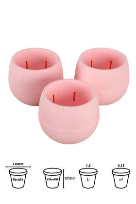 Mini Kaktüs Sukulent Saksısı 3lü Set Pembe Elvan Model 12.5 Cm 1.3 Litre - 2