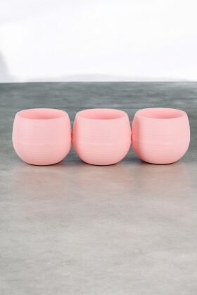 Mini Kaktüs Sukulent Saksısı 3lü Set Pembe Elvan Model 12.5 Cm 1.3 Litre - 4