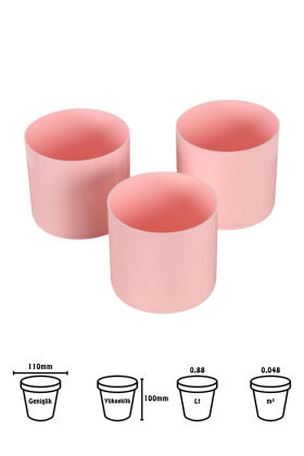 Mini Kaktüs Sukulent Saksısı 3lü Set Pembe Trend Model 10 Cm - 2