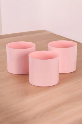 Mini Kaktüs Sukulent Saksısı 3lü Set Pembe Trend Model 10 Cm - 3