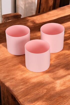 Mini Kaktüs Sukulent Saksısı 3lü Set Pembe Trend Model 10 Cm - Yapay Çiçek Deposu